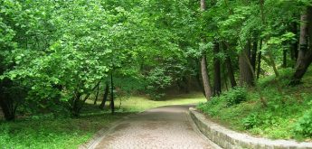 Stadtpark Natur