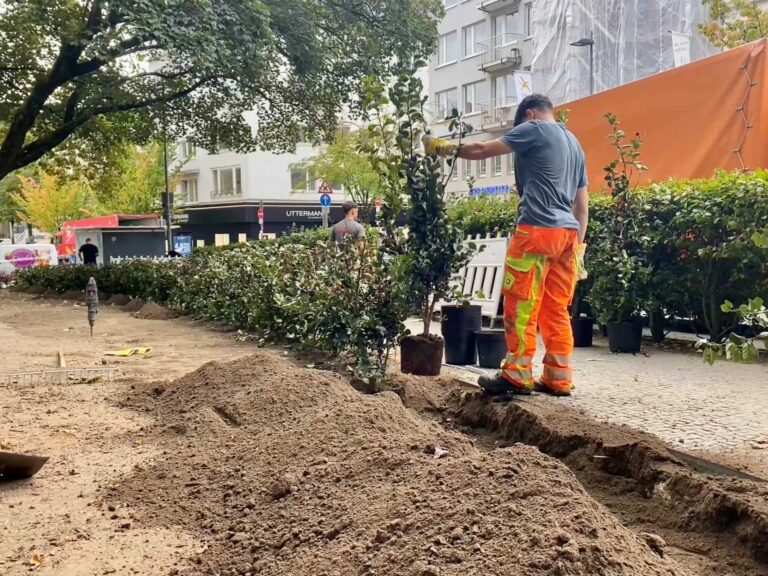 Entlang der Hartmannstraße pflanzten die Mitarbeitenden der Grünunterhaltung rund 200 Heckenelemente. Copyright ©Stadt Aachen/Elisa Bresser